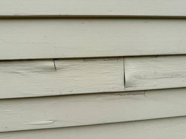 Best Shed Removal  in Taft, FL